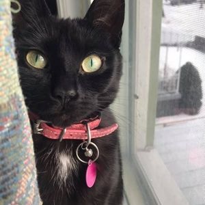 Meet your Posher, Janine